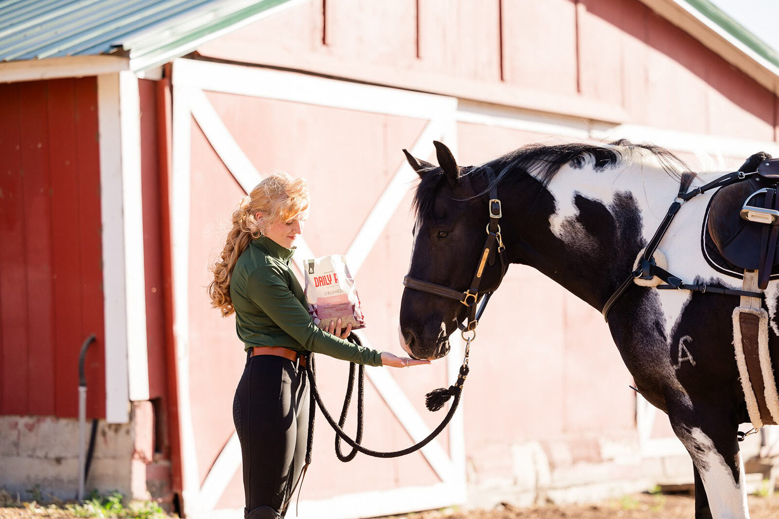 A woman standing in front of a barn feeds her horse Daily Red Crushed loose mineral salt.
